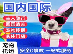 格尔木空运地址国际宠物托运 【国